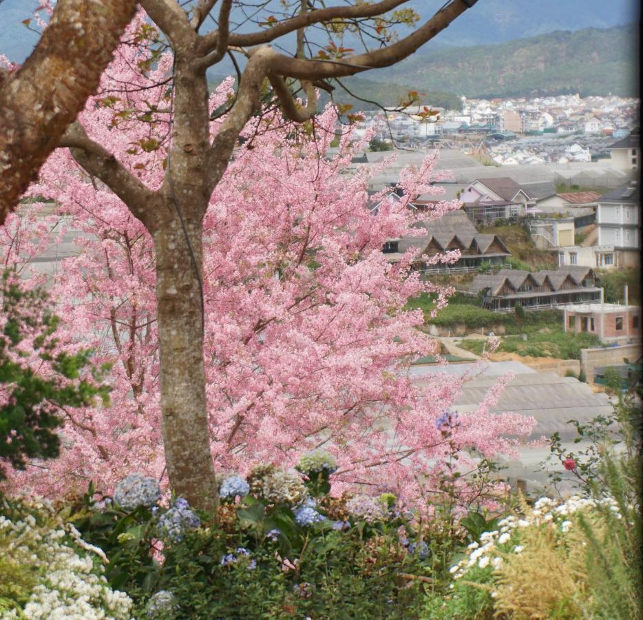 Mon Bac Home Dalat Exterior foto